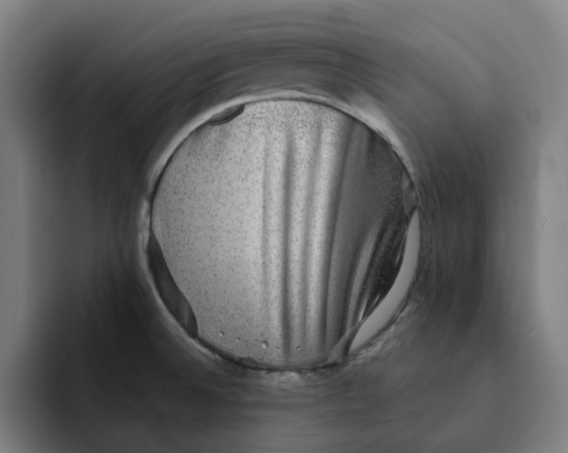 X0000091891524200709261630