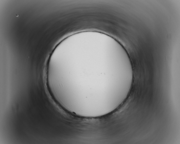 X0000091891526200709261630