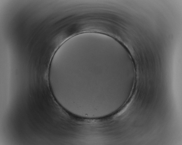 X0000091891529200709261630