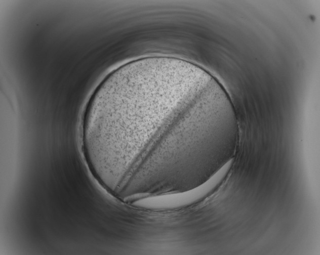 X0000091891531200709261630