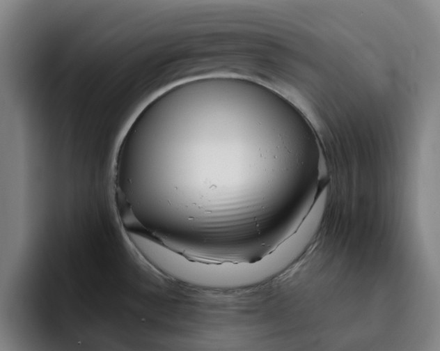 X0000091891532200709261630