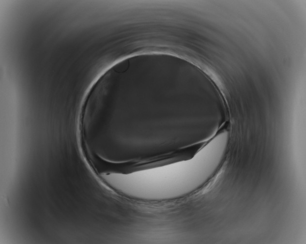 X0000091891533200709261630