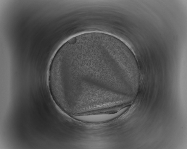 X0000091891535200709261630