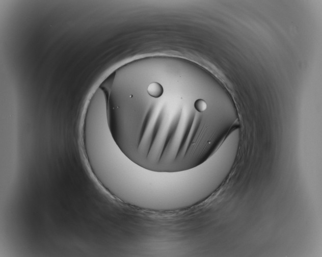 X0000091891536200709261630