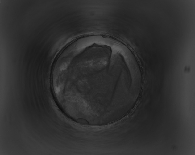 X0000091890002200710031151