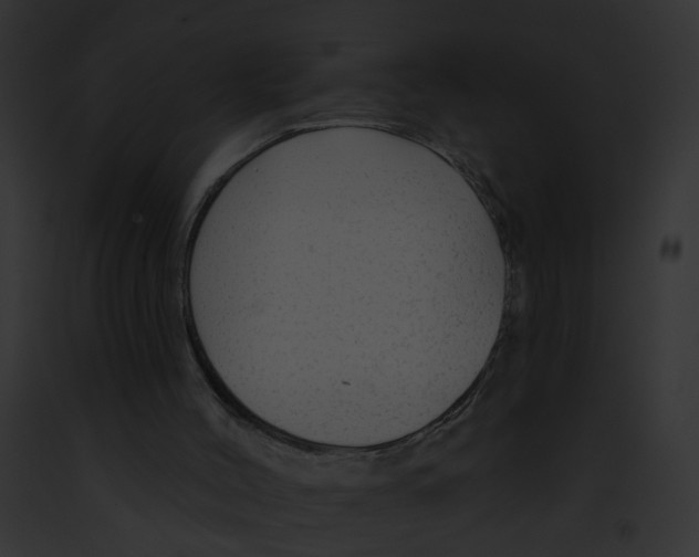 X0000091890004200710031151