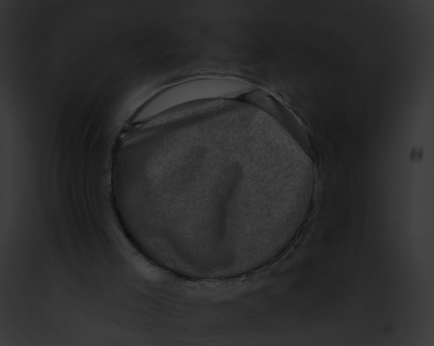 X0000091890005200710031151