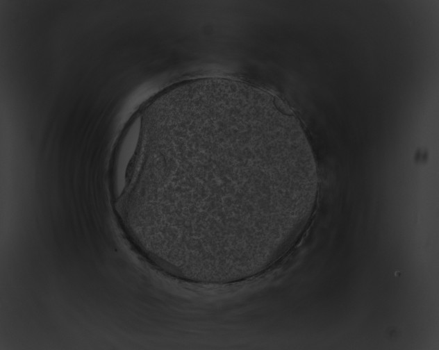X0000091890006200710031151