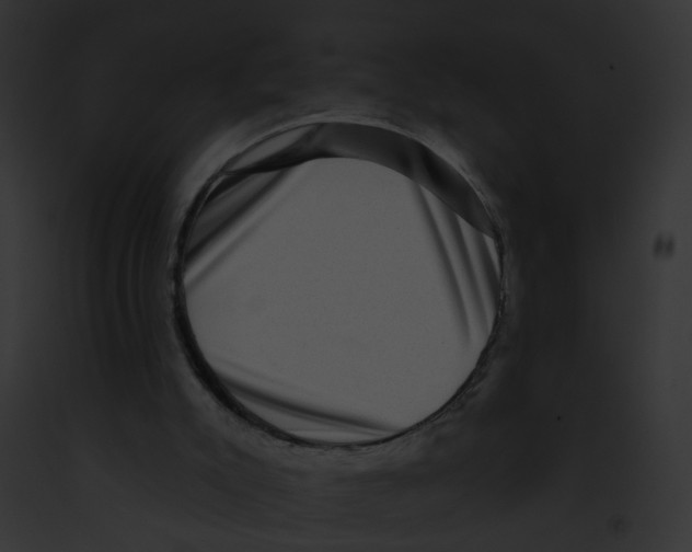 X0000091890007200710031151