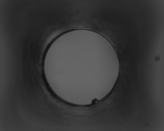 X0000091890008200710031151