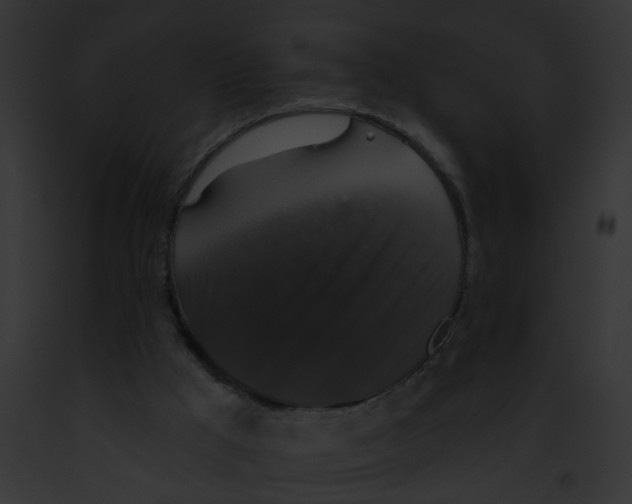 X0000091890009200710031151