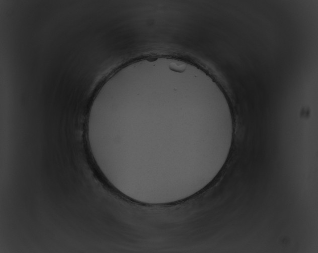 X0000091890010200710031151