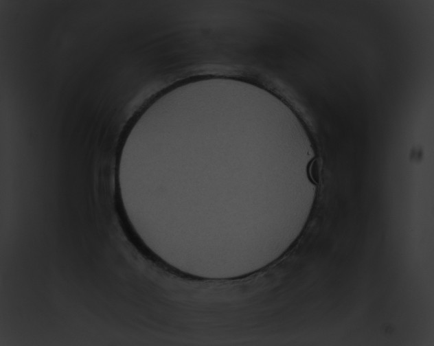 X0000091890011200710031151