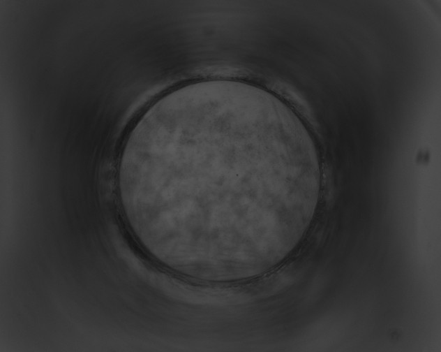 X0000091890012200710031151