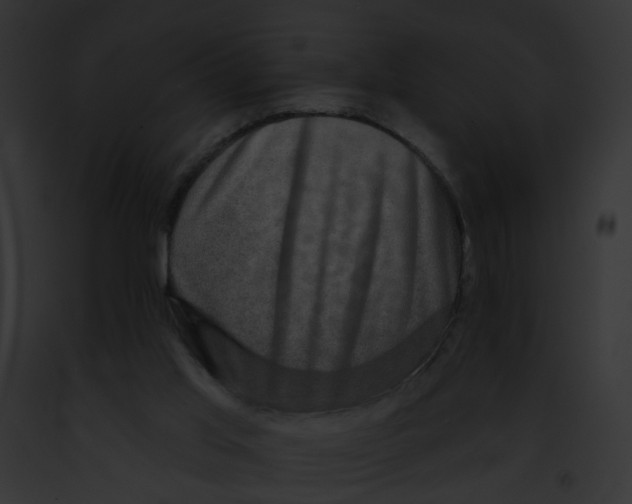 X0000091890013200710031151