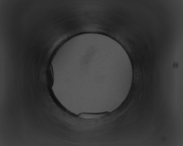 X0000091890015200710031151
