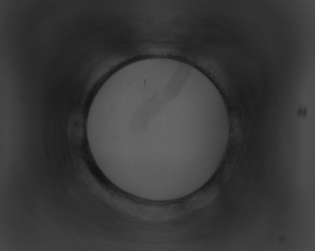 X0000091890016200710031151