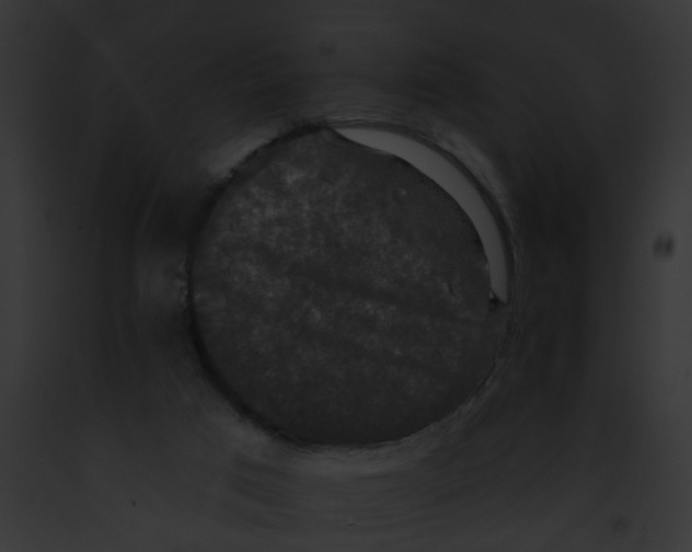 X0000091890017200710031151
