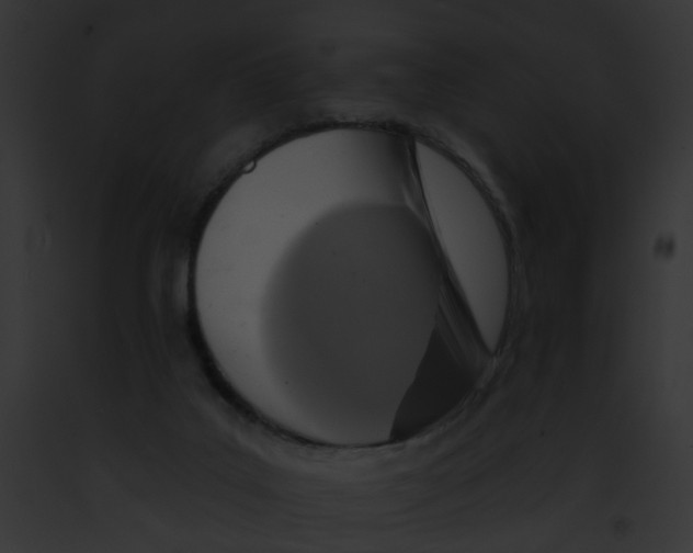X0000091890019200710031151