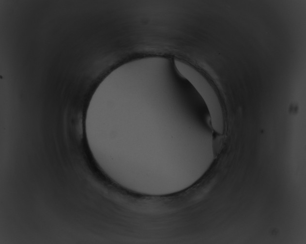 X0000091890020200710031151