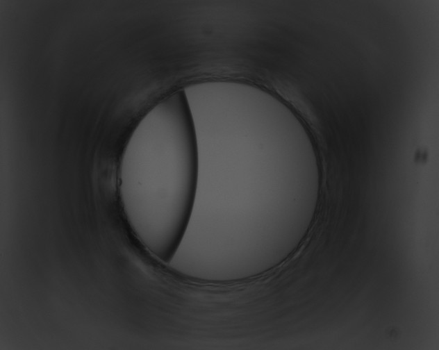 X0000091890021200710031151