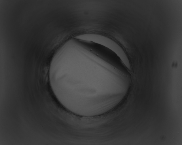 X0000091890022200710031151