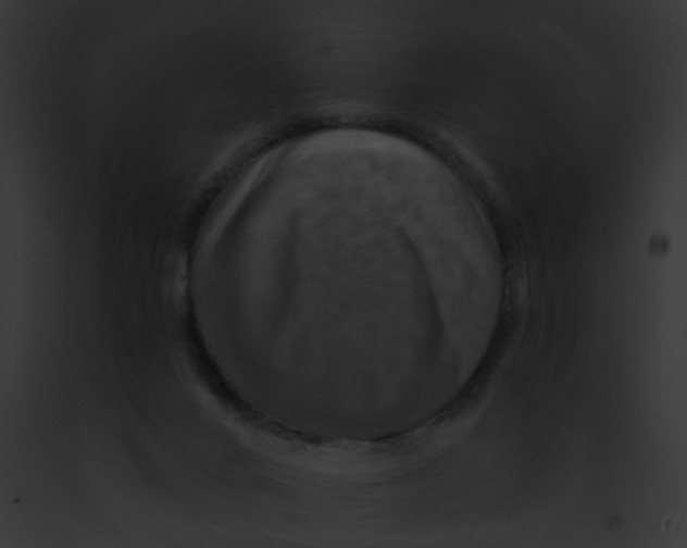 X0000091890024200710031151