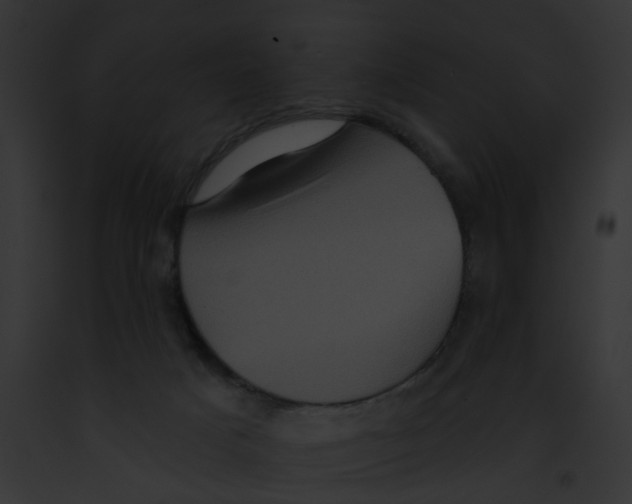 X0000091890025200710031151