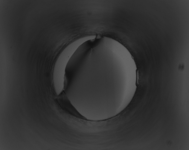 X0000091890027200710031151