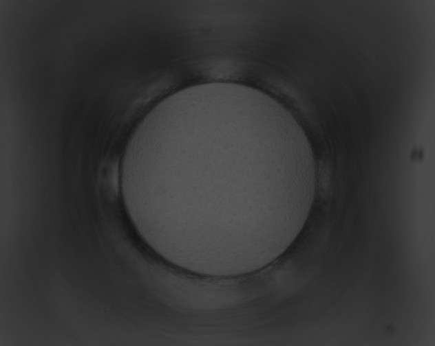 X0000091890028200710031151