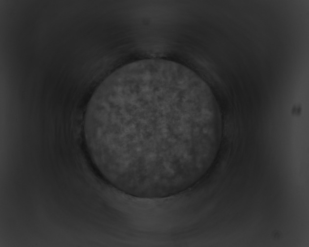 X0000091890030200710031151