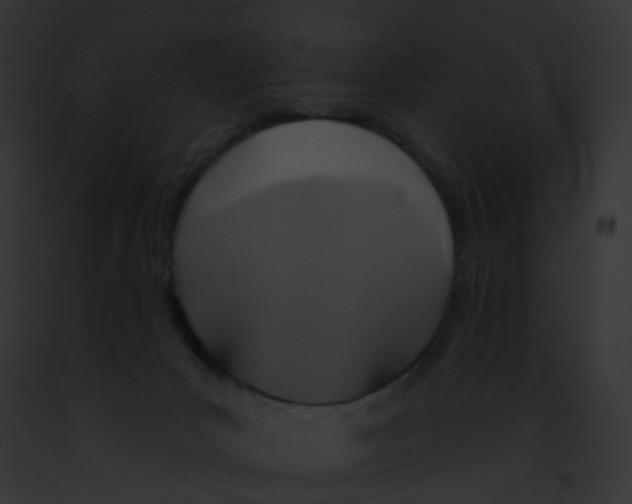 X0000091890031200710031151