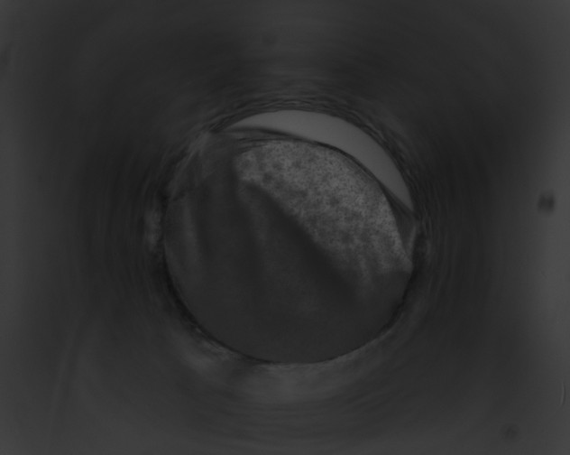 X0000091890033200710031151
