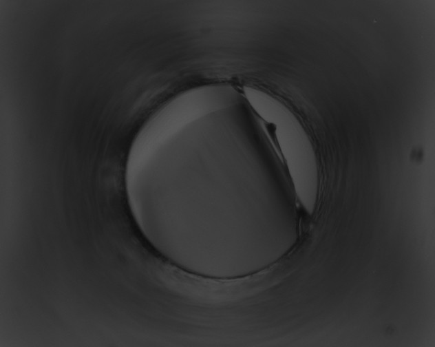 X0000091890035200710031151