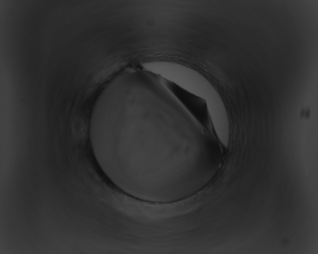 X0000091890039200710031151