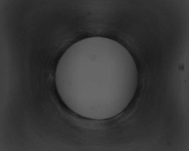 X0000091890040200710031151