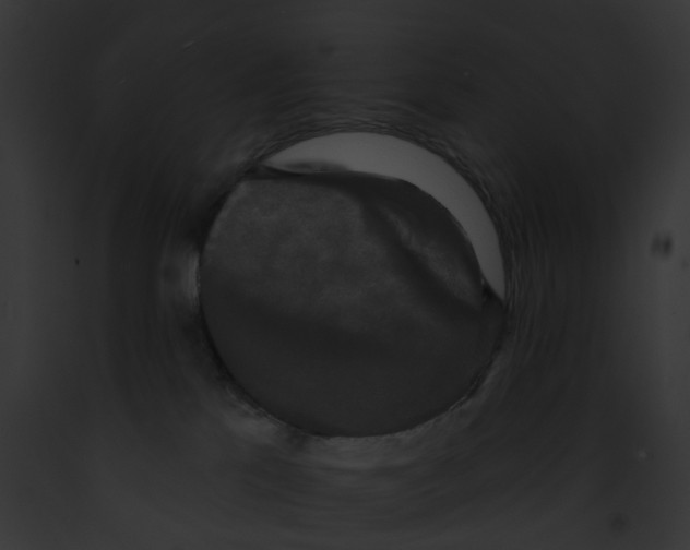 X0000091890041200710031151