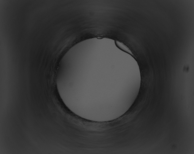 X0000091890044200710031151