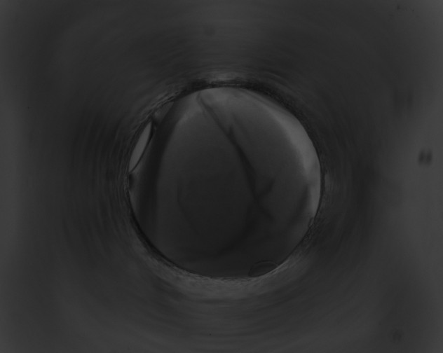 X0000091890048200710031151
