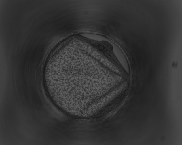 X0000091890049200710031150