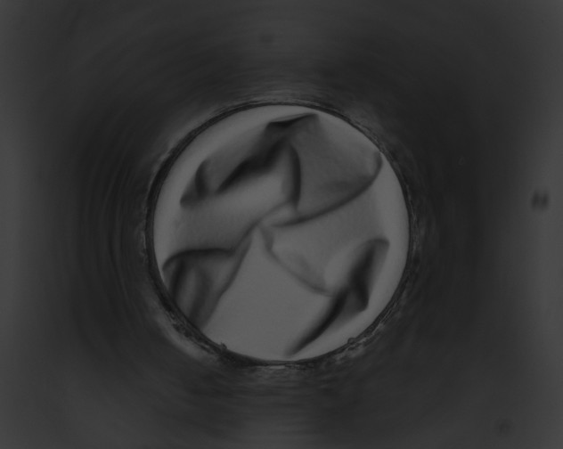 X0000091890050200710031150