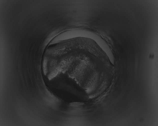 X0000091890051200710031150