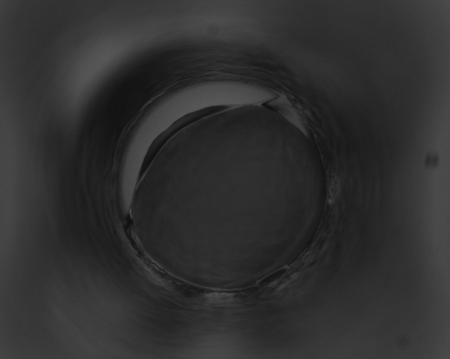 X0000091890052200710031150