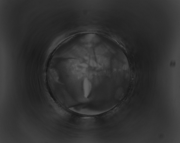 X0000091890053200710031150