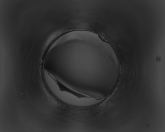 X0000091890054200710031150
