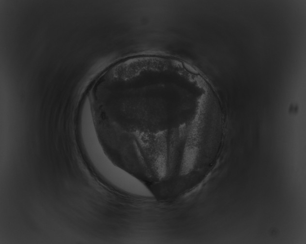 X0000091890055200710031150