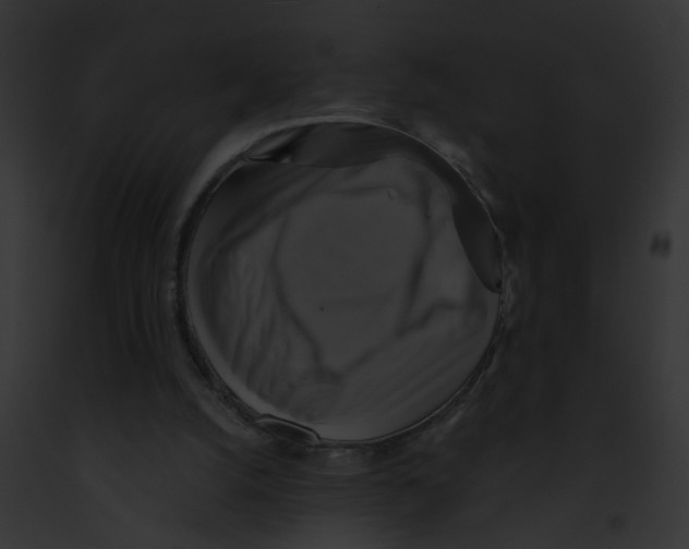 X0000091890056200710031150