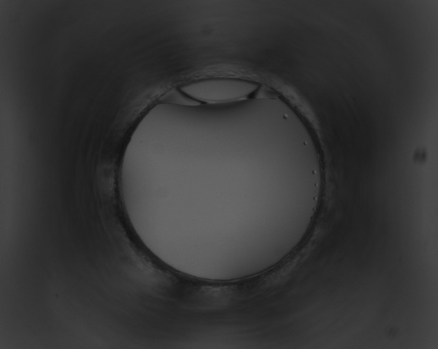 X0000091890057200710031150