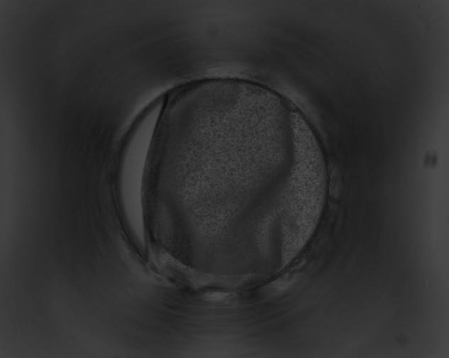 X0000091890060200710031150