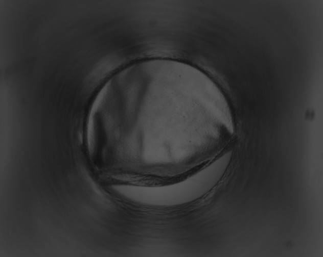 X0000091890062200710031150